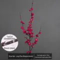 Elegant long artificial plum blossom branch in rose red, 125cm decorative floral - Long Winter Sweet (With Snow Effect) / Approx. 125cm / Rose Red