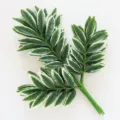 Artificial lemon leaves branch, fake green plant foliage for home decoration and floral arrangements. - Variegated Lemon Leaves