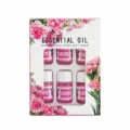 Set van 6 in water oplosbare anjer-etherische oliën voor aromatherapie-diffusers, elk 3 ml - 6-delige set / Anjer