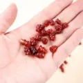Premium natural red agate 3-way gourd spacer beads for handcrafted DIY jewelry making - Gourd Three-way (JDPST02) / 10 Pieces (6*8mm) / Red