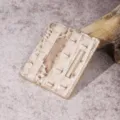 Vista dettagliata del porta carte beige con stampa coccodrillo e barra in metallo dorato - Portacarte (PG832) / Beige Conchiglia