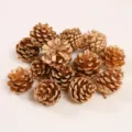 Set of decorative golden dyed natural pinecones for DIY crafts and festive holiday decor - Round Pine Cone / 3-5CM / Gold