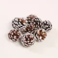 Natural brown pine cones with white snow-tipped finish for DIY Christmas crafts - Round Pine Cone / 3-5CM / White Edged