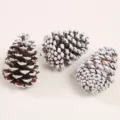Set of three decorative natural pine cones with white snow paint finish for DIY crafts - Big Pine Cone / 5-8CM / White Edged