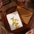Tarjeta de felicitación vintage de cartulina blanca con dibujo de ginkgo y sobre kraft - Rama de Ginkgo (2026071702) / Con Sobre y Bolsa OPP