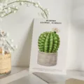 Tarjeta de felicitación de cactus inspiradora con ilustración y texto chino curativo. - Be Happy First