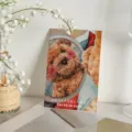Tarjeta de felicitación de osito de peluche acuarela con ilustración para regalo - Love Yourself Only