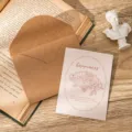 Vintage aesthetic greeting card set with kraft envelope and floral happiness design - Happiness and Best Wishes / With Envelope and OPP Bag