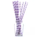 Lot de pailles en papier biodégradables à rayures violettes et blanches dans un bocal - 24 Pièces/Paquet (Pailles)