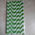 Pailles en papier biodégradables à rayures vertes et blanches pour fête de football - Paille (16 Pièces) / Lot de 16