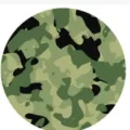 Motif classique de camouflage de jungle pour assiettes en papier de fête d'anniversaire - Assiettes 7 Pouces (16 Pièces/Paquet) / 7"
