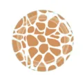 Vue détaillée d'une assiette en carton ronde à motif girafe pour une décoration de fête jungle - Assiette en Papier Ronde Imprimé Girafe / 10 Pièces (7 Pouces/18cm)