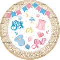 Dekorativer runder Pappteller für Gender-Reveal-Partys mit rosa und blauen Illustrationen - Neue Tauf-Teller 9 Zoll / 16er Pack