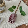 Realistic burgundy artificial King Protea flower bud for home and wedding decor. - Dark Red King Protea