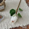 Realistic artificial white King Protea flower bud with stem for home decoration - White King Protea