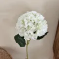 Élégante hortensia artificielle bianca imprimée en 3D pour mariage et décoration - Blanc