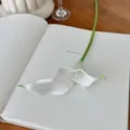 Tallo de flor de cala artificial blanca realista para decoración elegante del hogar - Blanco Verde