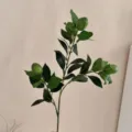 Realistic artificial lemon branch with green fruits for home decor and photography. - 3 Fruits Green / Height Approx 65cm / Green