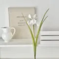 Elegant single stem white artificial iris flower with long realistic green leaves - White