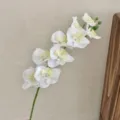 70cm artificial moth orchid branch with 9 white flower heads for home decor - White