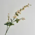 Realistic artificial 3-fork cream delphinium flower branch for elegant home decor - Champagne