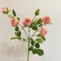 Eleganter pfirsichrosa künstlicher 6-Kopf-Rosenzweig für Heimdekoration und Hochzeitsfloristik - Rosa