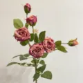 Eleganter 6-köpfiger staubiger rosa künstlicher Rosenstiel für hochwertige Deko - Fuchsia