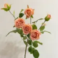 Künstliche 6-Kopf-Seidenrosen in Pfirsich für Wohndeko und Hochzeitsarrangements - Hellkaffee