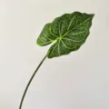 Lifelike 3D printed artificial Alocasia leaf stem for DIY home floral arrangements - Marbled Green