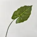 Artificial 3D printed Alocasia leaf for DIY floral arrangements and home garden decor - Green