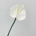 Large white EVA artificial Anthurium flower for home decoration and weddings - White