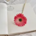 Flor de gerbera artificial rosa de PU, ideal para la decoración del hogar y bodas - Rosa