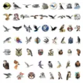 Pack de 60 pegatinas impermeables de águilas y halcones para maletas y laptops - Patrón de Águila / 60 Piezas/Paquete