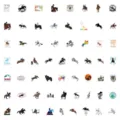 Colección de 60 pegatinas de equitación para álbumes de recortes y papelería creativa - 60 Piezas/Paquete
