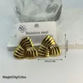 Geometric striped stainless steel earrings in gold finish with measurements - Radial Striped Triangle (ES876)