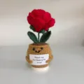 Handmade knitted red flower potted plant with 'Thank You For Helping Me Grow' card - Red Rose Pot