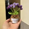 Handmade crochet emotional support potted plant gift with a thank you message card - Forget-Me-Not Potted