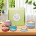 Juego de 4 velas aromáticas de regalo con tarros decorativos y caja verde para el hogar. - Set de 4 piezas en colores dopamina