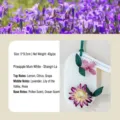 Geparfumeerde wastablet met droogbloemen in wit, 40g Shangri-La geur - Shangri-La Geur