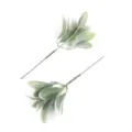Detailed view of two artificial flocked lamb's ear leaves with realistic texture - 24 Pieces/Pack