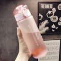 Portable frosted plastic sports water bottle with flip lid and safety lock for outdoor gym. - Frosted Pink 780ml