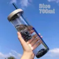 700ml portable clear plastic water bottle with blue straw and fruit infuser - First Gen Tea Filter Cup / 700ml / Blue