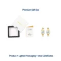 Pendientes de moissanita dorada con caja de regalo premium y certificado GRA - Pendientes de Moissanita de Plata S925 con Caja de Cajón y Certificado GRA
