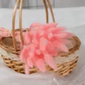 Fiori secchi di coda di coniglio rosa, bouquet floreale naturale per decorazioni e oggetti di scena. - Lagurus rosa chiaro (60 steli)