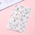 Elegant semi-transparent gold-stamped butterfly cake toppers for DIY birthday party decor - Butterfly Style (H07) / Cream