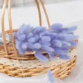 Ramo de flores secas de cola de conejo morada en cesta tejida para decoración del hogar. - Hierba cola de conejo lila claro, 60 tallos