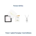 S925 Sterling Silber D-Farbe Moissanit Halskette mit Premium-Geschenkbox und GRA-Zertifikat - 40cm+5cm / Silber (Moissanit Kette + LED-Box + Zertifikat)
