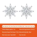 Snowflake S925 sterling silver moissanite stud earrings with 18k gold plating finish - 925 Silver / Snowflake Style (White Gold)