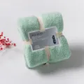 Thickened coral velvet face towel, highly absorbent and quick-drying gift towel for daily use. - 36*80cm / Light Green