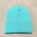 Soft knit beanie hat in vibrant mint green, perfect for autumn and winter outdoor wear. - Adult / Light Lake Blue
